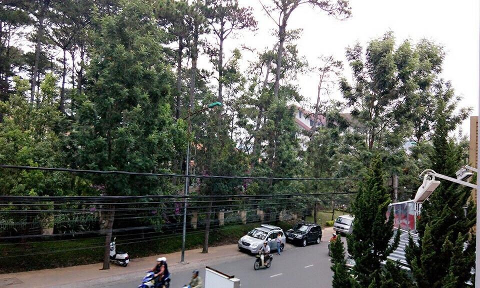 Trang Thanh 2 Guest House Da Lat Kültér fotó